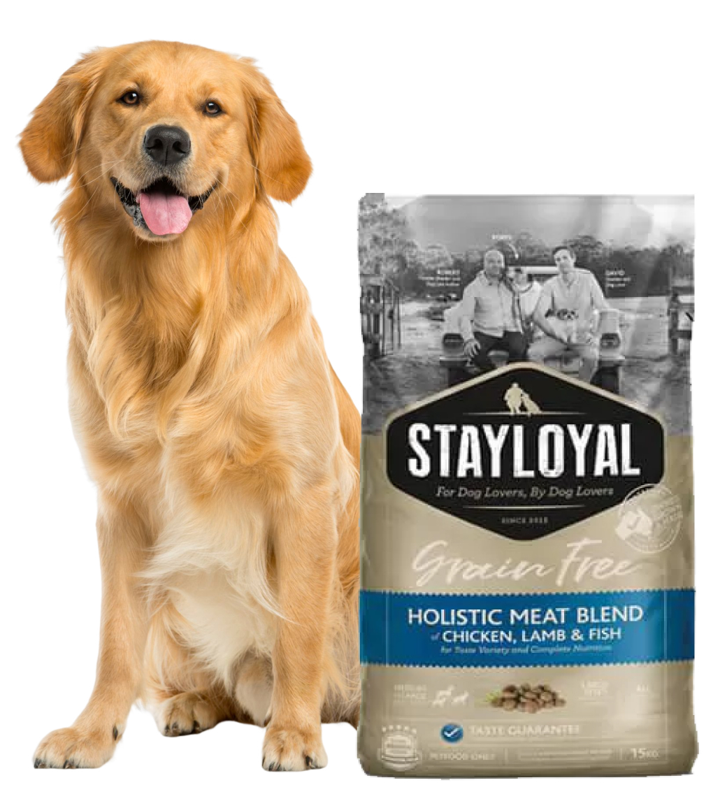 Dry Dull Coat copy Stay Loyal