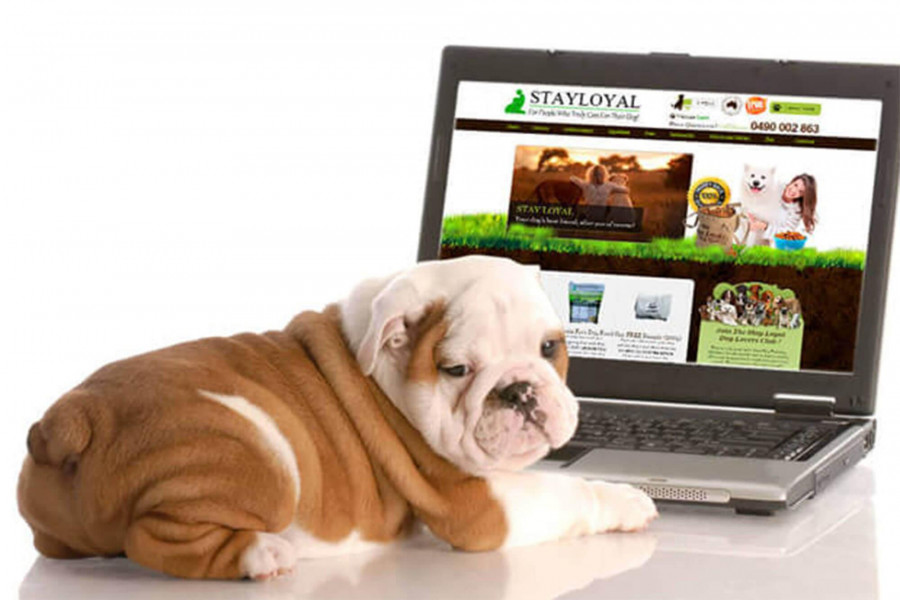 buy dog food online in Australia