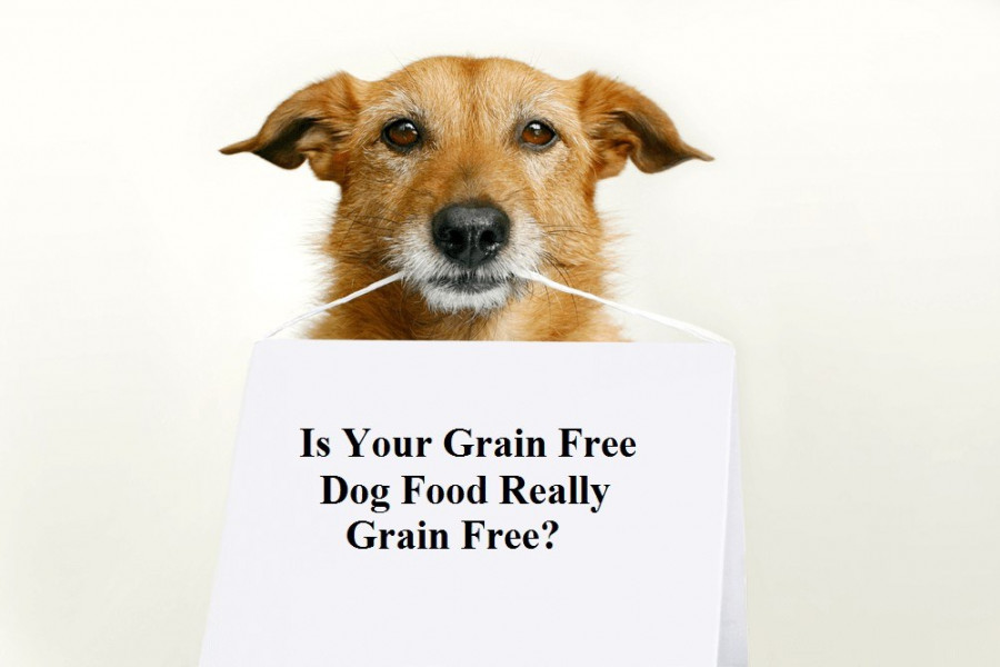 Grain free